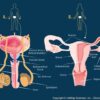 Respirazione ovarica: donna in ascolto di sé